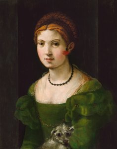 一个年轻女人的肖像，15301540。 作者 不明