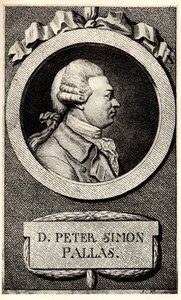 动物学家和植物学家彼得·西蒙·帕拉斯（Peter Simon Pallas）的肖像1741-1811，十九世纪初。 作者 不明