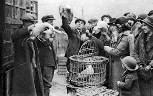 1926-1927年伦敦加里东市场的家禽商人 作者 不明