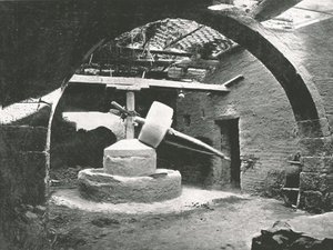 原始玉米磨坊，埃及尼罗河三角洲，1895年。 作者 不明