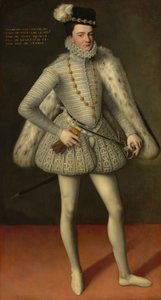 赫克尔-弗朗索瓦王子，阿朗松公爵，1572年。 作者 不明