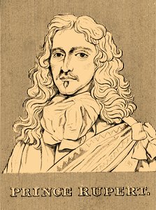 鲁珀特王子（Prince Rupert），1619-1682年，1830年。 作者 不明