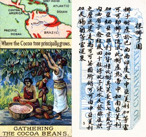 可可生产的主要地区，来自威尔斯 "海盗 "香烟为中国市场制作的 "世界产品 "系列烟卡。 作者 不明