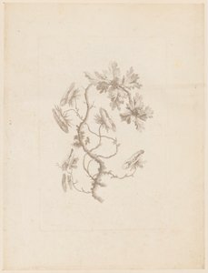 印刷品(法国) 作者 不明