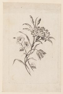 印刷品(法国) 作者 不明