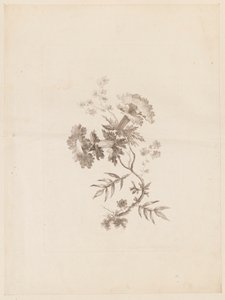 印刷品(法国) 作者 不明