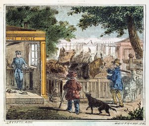 用来在市场上称量牛的公共地磅，1867年 作者 不明
