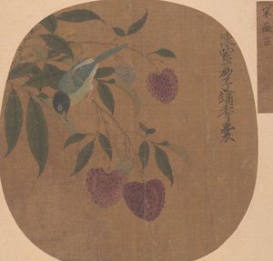 紫色荔枝和鸟。 作者 不明