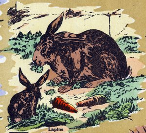 兔子和胡萝卜。插图的字母表。20世纪初在Jarville-Nancy重聚的图像作品。尺寸：40 x 29厘米。石版印刷，背景为双色玻璃 作者 不明