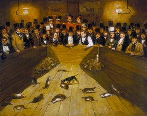 在芬斯伯里邦希尔街的蓝锚酒馆捕鼠》，约1850年 作者 不明