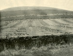 1901年在巴拉瑞特附近的布洛哈德山（Mount Blowhard）进行的《收割者与黏合剂》竞赛。 作者 不明