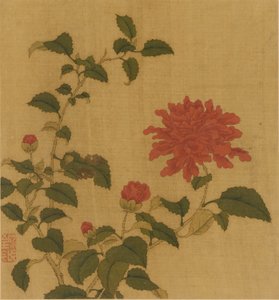 红牡丹，清代，18世纪。 作者 不明