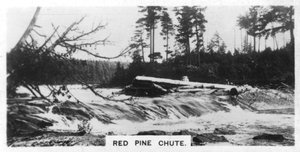 加拿大Red Pine Chute，大约1920年代 作者 不明