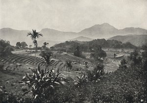1926年在Terrasen停泊的旅行场 作者 不明