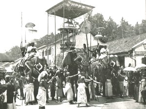 宗教游行，科伦坡，锡兰，1895年。 作者 不明