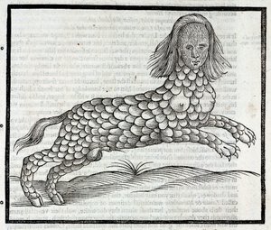 "Representation de la creature Lamia (Sybaris) Gravure tiree de "History of Four-Footed Beastes" d