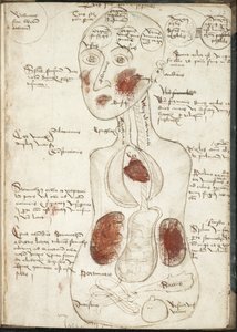 亚里士多德意识理论的表示来自：De corpore et anima 作者 不明