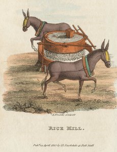 赖斯磨坊（1813） 作者 不明