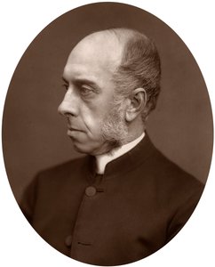 右牧师Anthony Wilson Thorold，罗切斯特主教，188岁 作者 不明