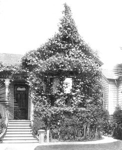 美国加利福尼亚州洛杉矶市南斯普林街玫瑰小屋，建于1900年。 作者 不明