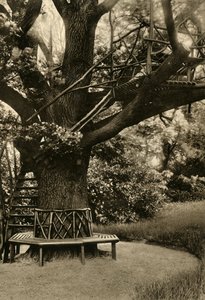 仿古处理。 -树上的避暑别墅，理想的茶馆，1920年。 作者 不明