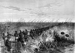 塞缪尔·贝克斯（Samuel Bakers）的船拖过河草，1864年-1874年 作者 不明
