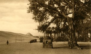 塞加拉（Saqqara）-从西科莫（Sycomore）看的阶梯金字塔，c1918-c1939。 作者 不明