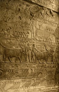 塞加拉（Saqqara）-普塔霍特普（Ptahotep）墓-壁画装饰，c1918-c1939。 作者 不明