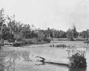 场景在美国密西西比州，摄于c1900年。 作者 不明