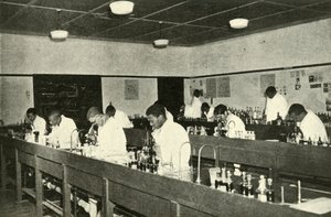 一所本地大学的场景-爱丽丝梦游仙境Fort Hare本地学院细菌学的学生 作者 不明