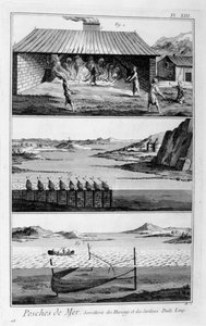海钓，鲱鱼和沙丁鱼，1751-1777年 作者 不明