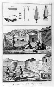 海上捕捞，净产品制造，1751-1777年 作者 不明