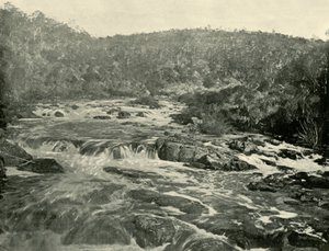 南埃斯克河第二盆地，1901年。 作者 不明