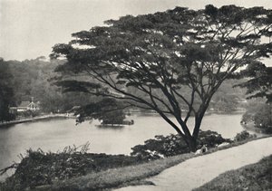 从维多利亚大道向东看，湖，康提神殿和图书馆在康提，192 作者 不明