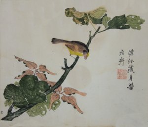 种子和Aleurites Cordata ：页面来自《芥子园手册》......，1782年第二版。 作者 不明