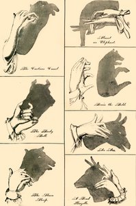 影子图片和剪影，1883年。 作者 不明