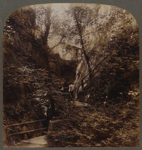 享誉全球的Shanklin Chine，英格兰怀特岛，约1910年。 作者 不明