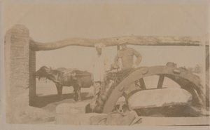 锡亚尔科特（Sialkot），19世纪末-20世纪初。 作者 不明