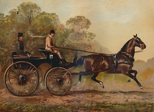 单一线束辉腾马哥伦拜恩。 Charles Baynes Esq。，1872，c1879的财产 作者 不明