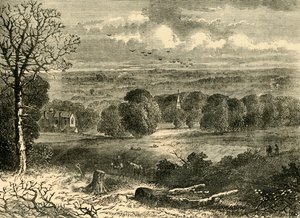 1852年，水晶宫的遗址，建于1878年。 作者 不明