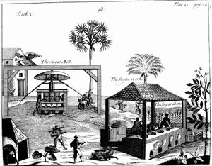 1725年，西印度群岛一家糖园的奴隶工 作者 不明