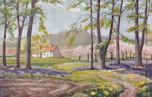 春季-太阳在1935年期间发生的物理，化学和生物变化。 作者 不明