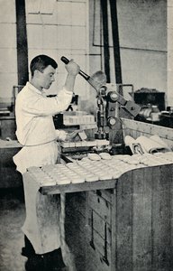 肥皂压模块，c1917 作者 不明