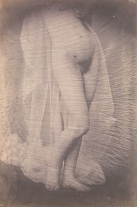[站立的女性裸体]，约1856年。 作者 不明