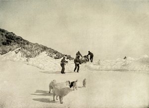 西方政党始于罗伊德角（Cape Royds），c1908，1909年。 作者 不明