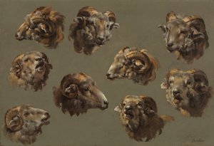 1700年代对Ram Heads的研究。 作者 不明