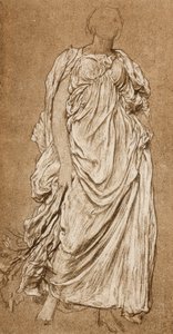 水蚤的研究，c1874-1876 c1880-1882 作者 不明