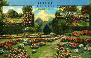 1942年，北卡罗来纳州夏洛特，森尼赛德玫瑰花园。 作者 不明
