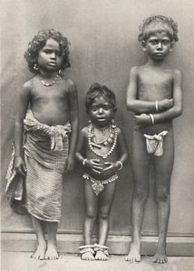 塔穆伦克德（Tamulenkinder），1926年 作者 不明