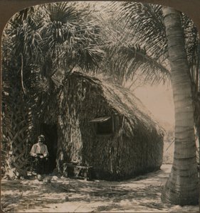 美国佛罗里达州可可努格罗夫的茅草屋，约建于1900年 作者 不明